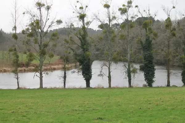 Isolation Façade Laine de Roche Isolation façade laine de roche Muzillac